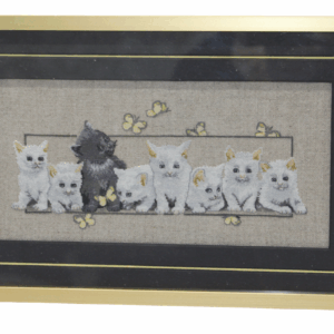 Black and White Kittens